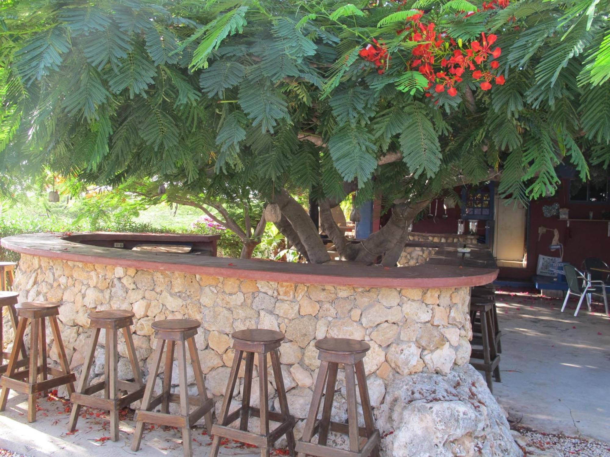 Caribbean Chillout Apartments Playa Esterno foto