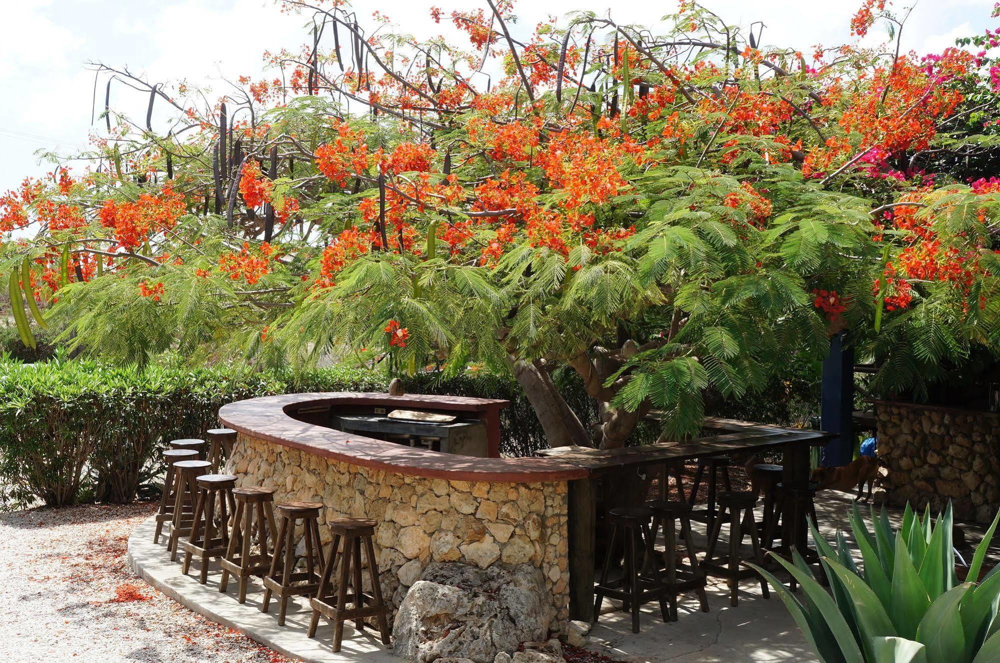 Caribbean Chillout Apartments Playa Esterno foto