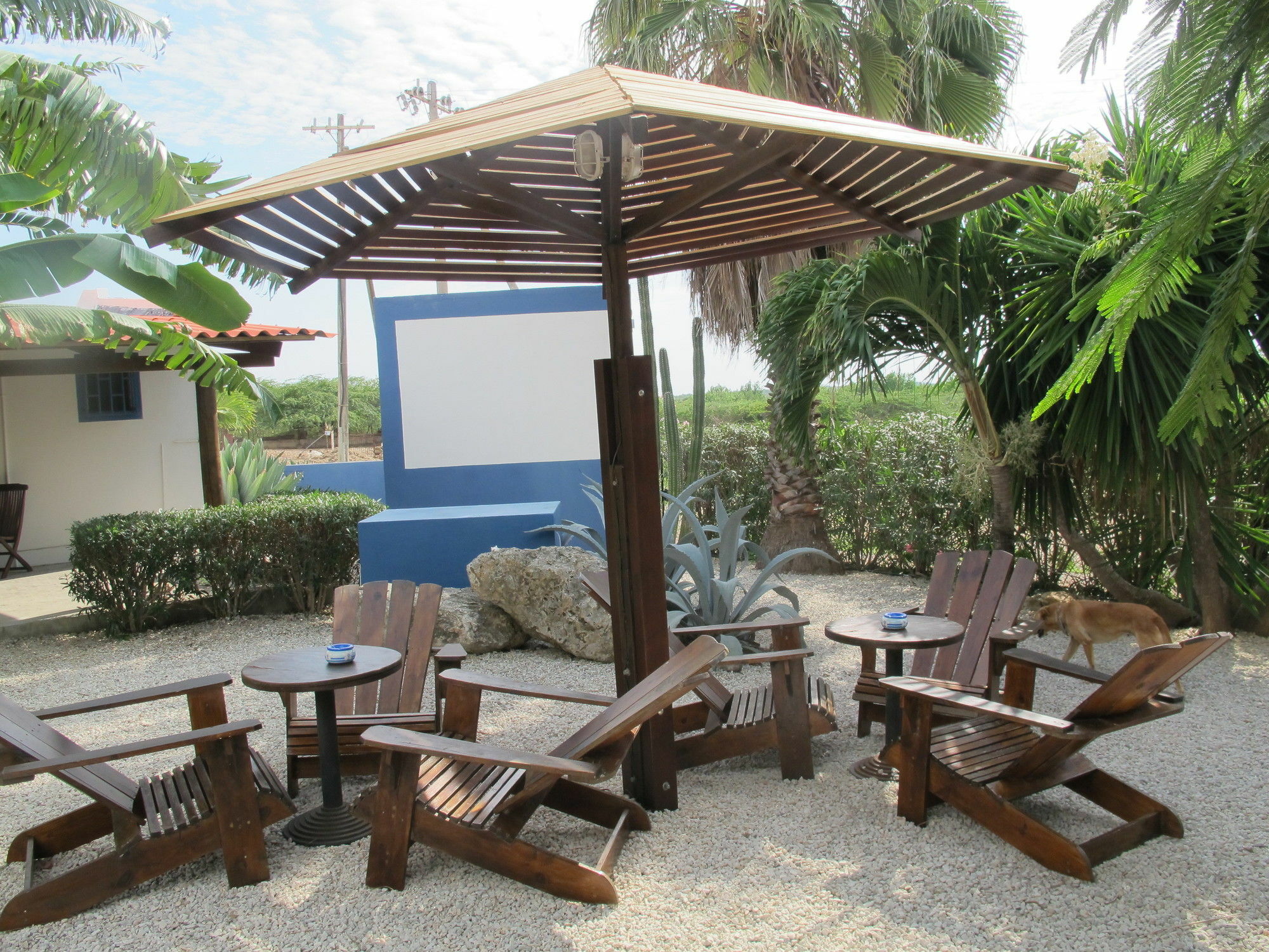 Caribbean Chillout Apartments Playa Esterno foto