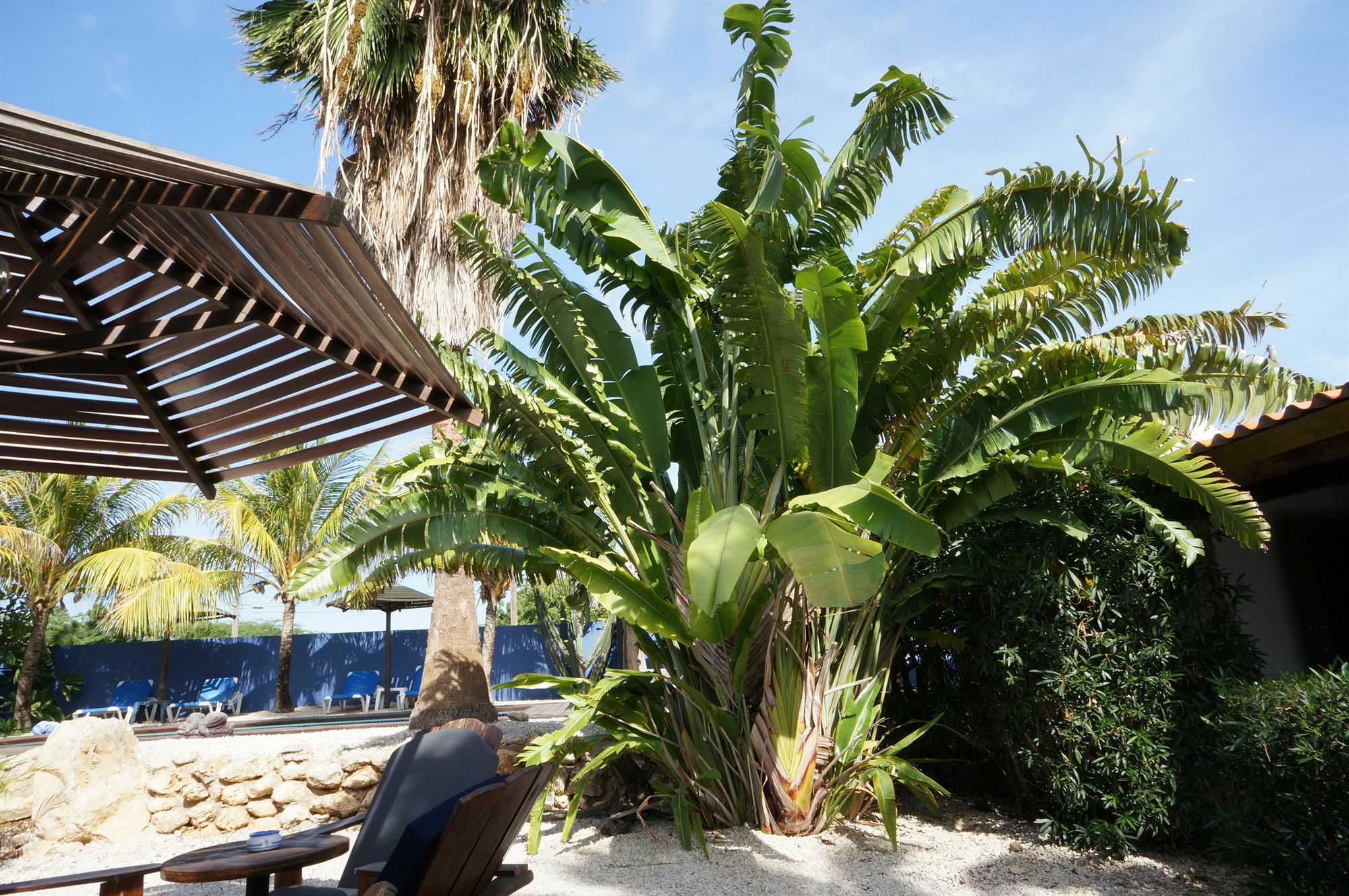Caribbean Chillout Apartments Playa Esterno foto